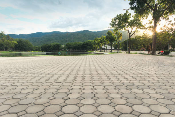 Best Custom Driveway Pavers  in Glenwood Landing, NY